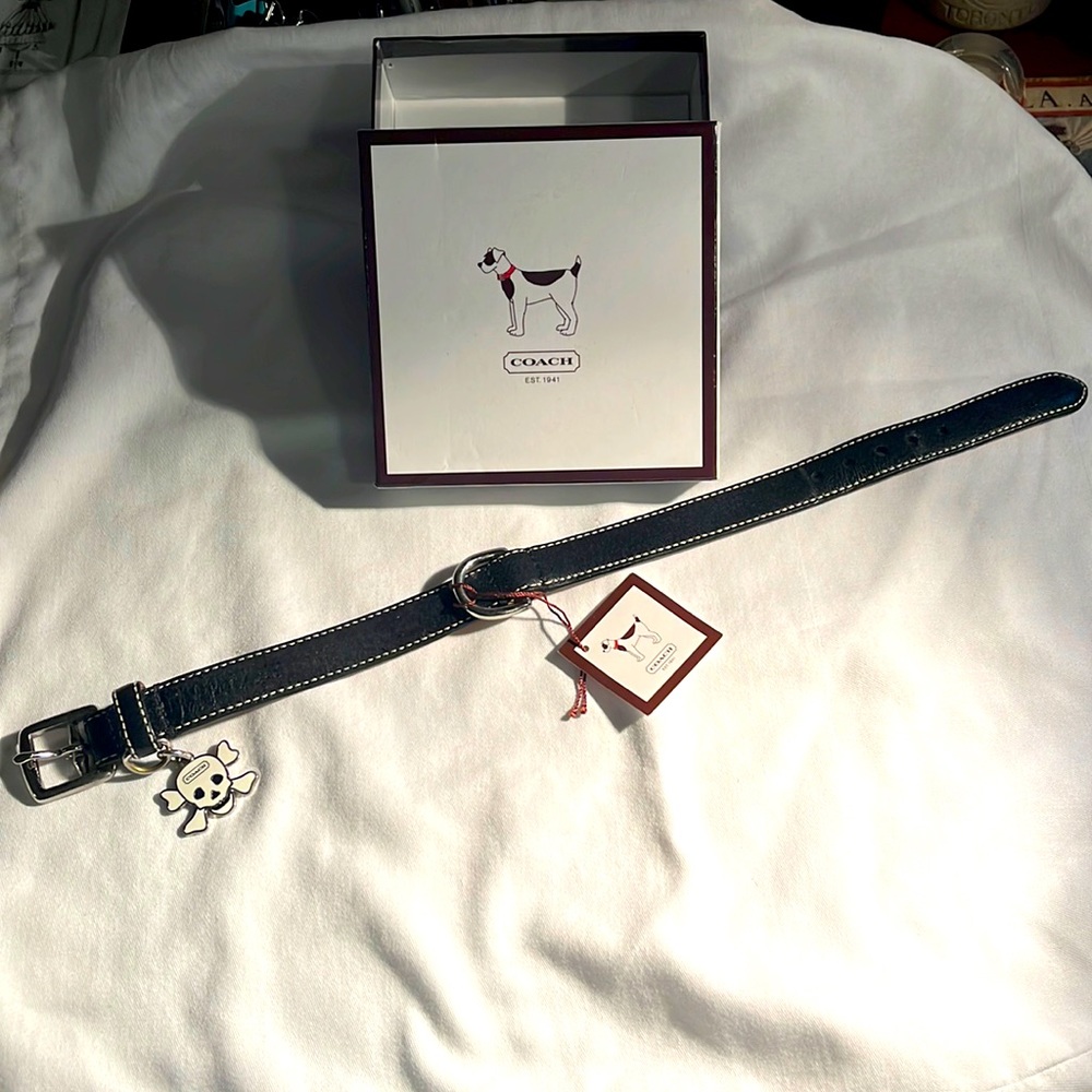 COACH Skull and Crossbones collar with original box and tags.